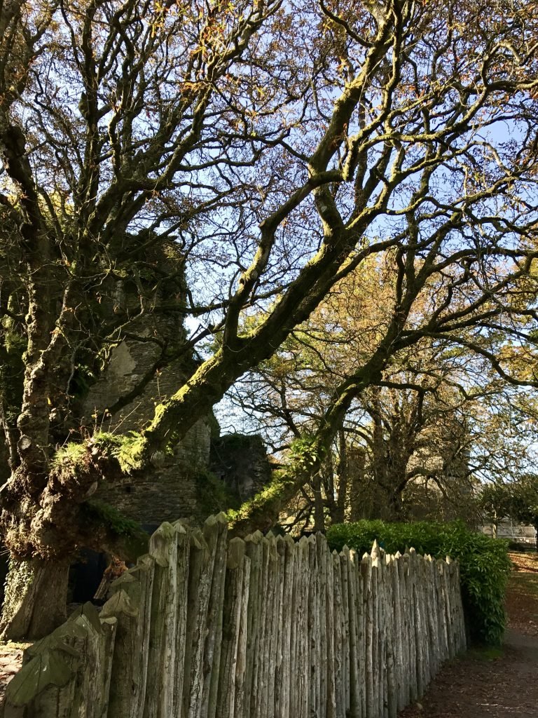 Castello Rochefort-en-Terre