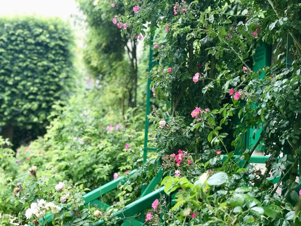 Giverny garden