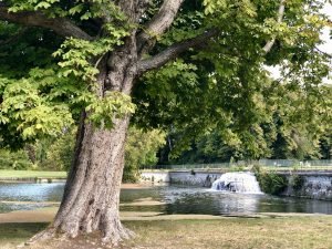 Cascata Chantilly Grand Canal